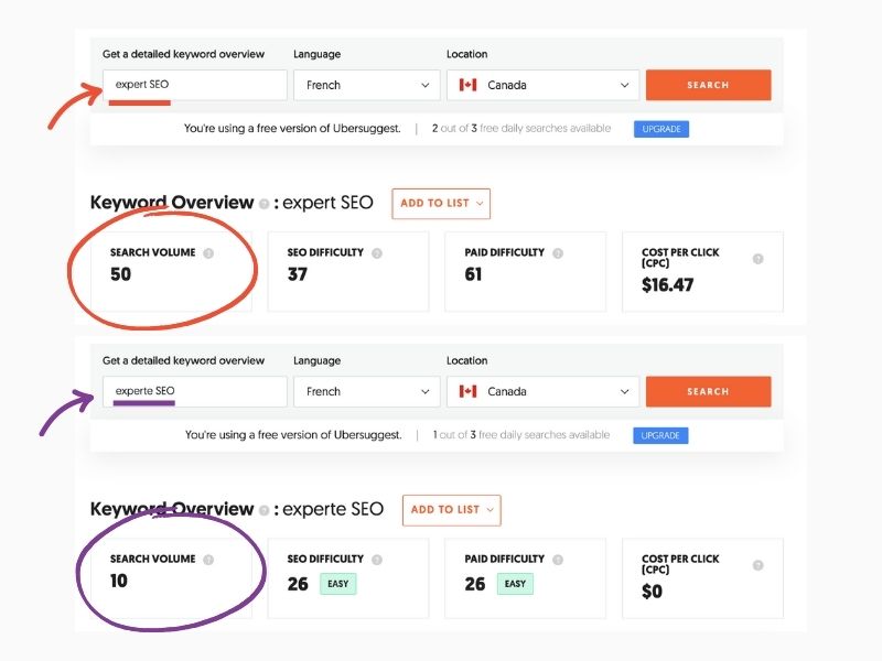 volumes de recherche pour les termes expert seo 50 et experte seo 10