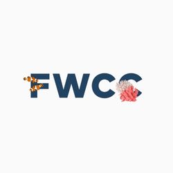 FWCC - Festival Web de la création de contenu